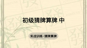 2. 初级猜牌算牌 中