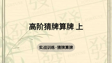 4. 高阶猜牌算牌 上