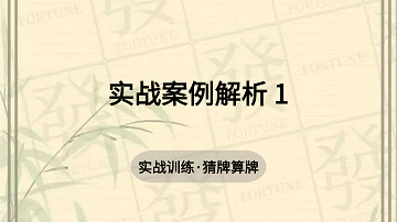 17. 实战案例解析 1